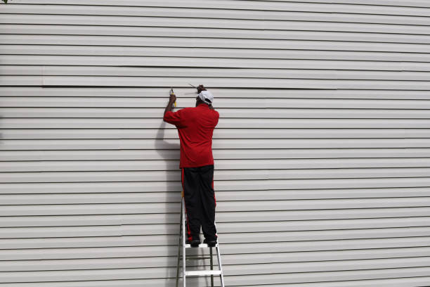 Best Residential Vinyl Siding Installation  in Racine, WI