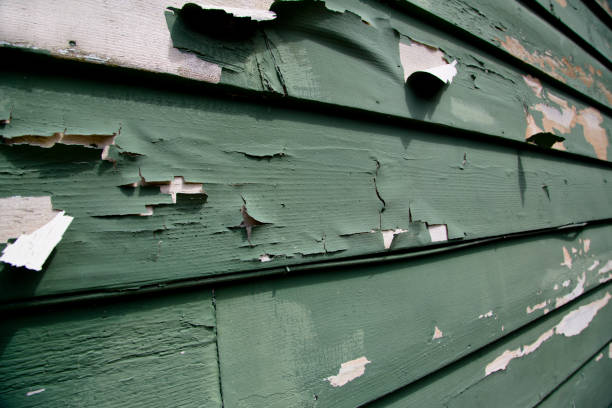 Best Storm Damage Siding Repair  in Racine, WI
