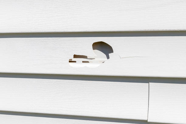 Best Custom Siding Design  in Racine, WI