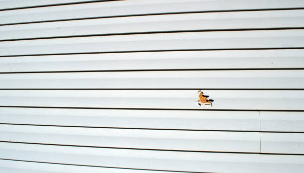 Best Wood Siding Installation  in Racine, WI